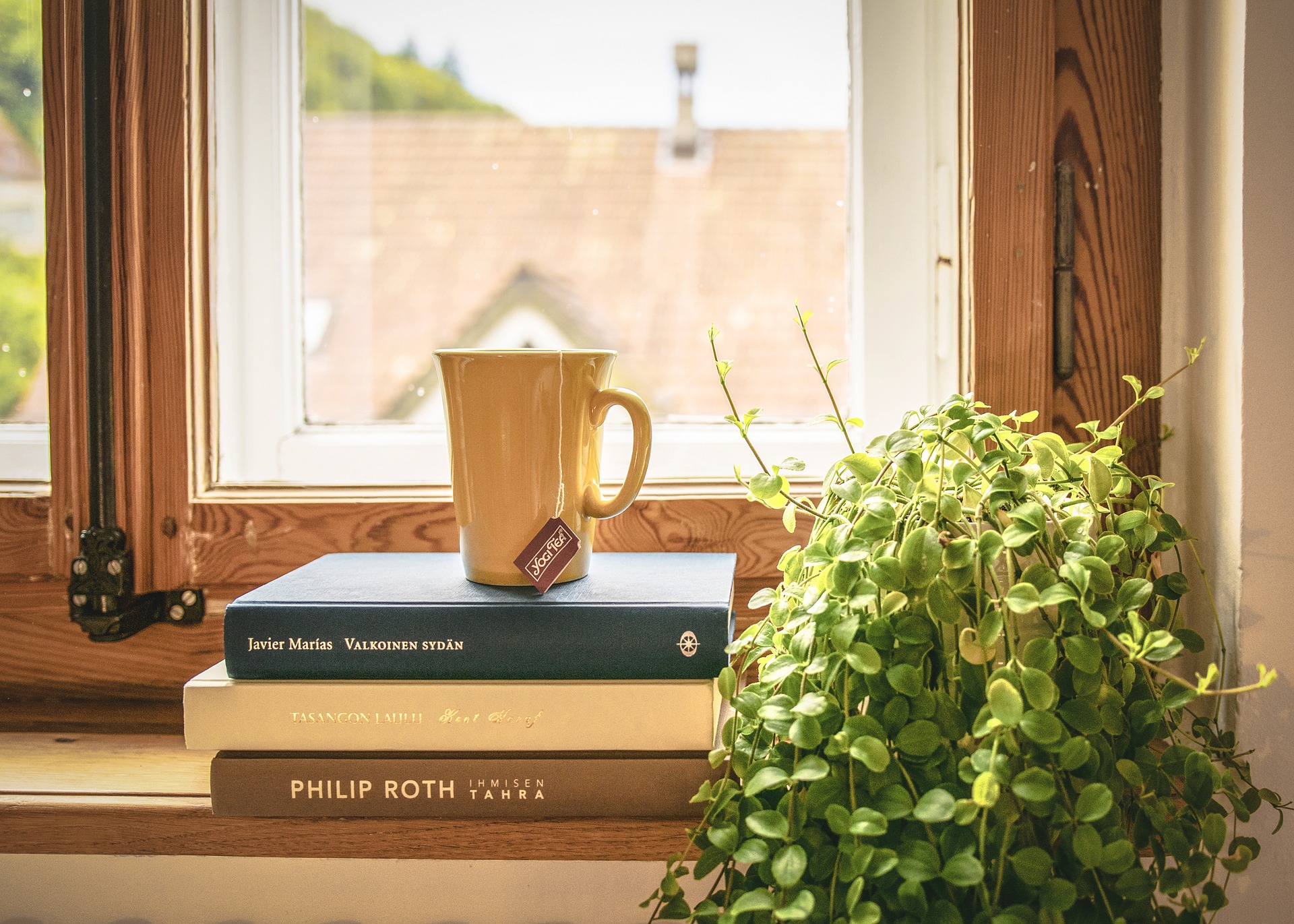 窓、窓際の本や植物の画像